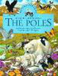 Cover image for The Poles