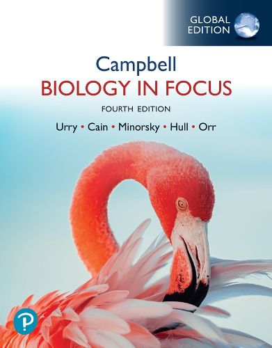 Cover image for Campbell Biology in Focus, Global Edition