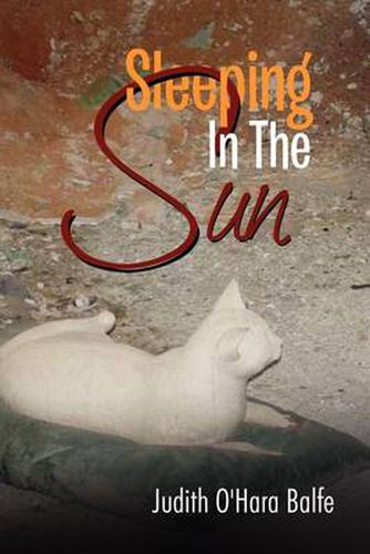 Cover image for Sleeping in the Sun