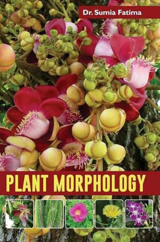 Cover image for Plant Morphology