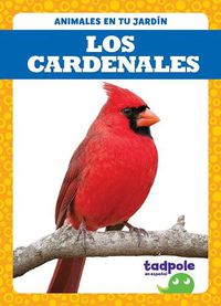 Cover image for Los Cardenales (Cardinals)