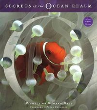 Cover image for Secrets of the Ocean Realm