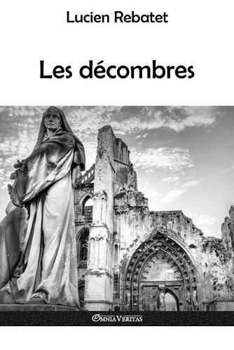 Cover image for Les decombres