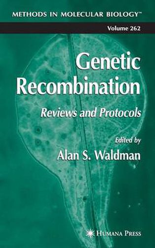 Cover image for Genetic Recombination: Reviews and Protocols