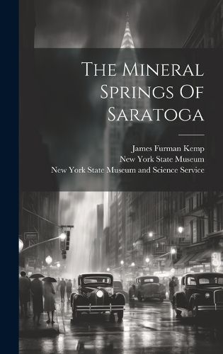 Cover image for The Mineral Springs Of Saratoga