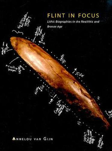 Cover image for Flint in Focus