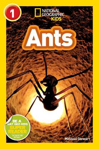 Cover image for National Geographic Readers: Ants