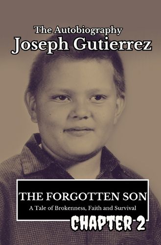 Cover image for The Forgotten Son