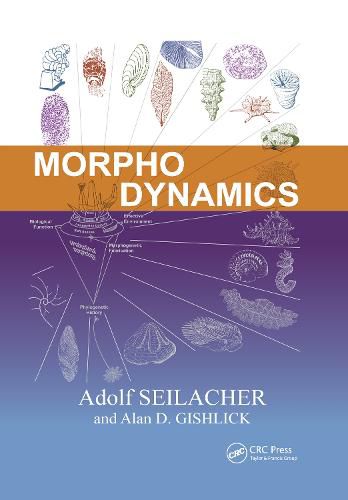 Cover image for Morphodynamics