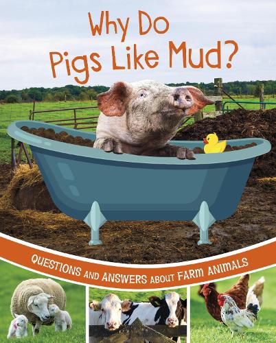 Why Do Pigs Like Mud?: Questions and Answers About Farm Animals