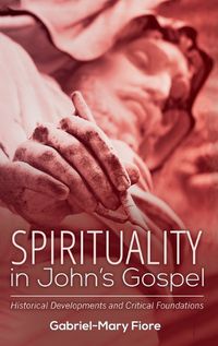Cover image for Spirituality in John's Gospel