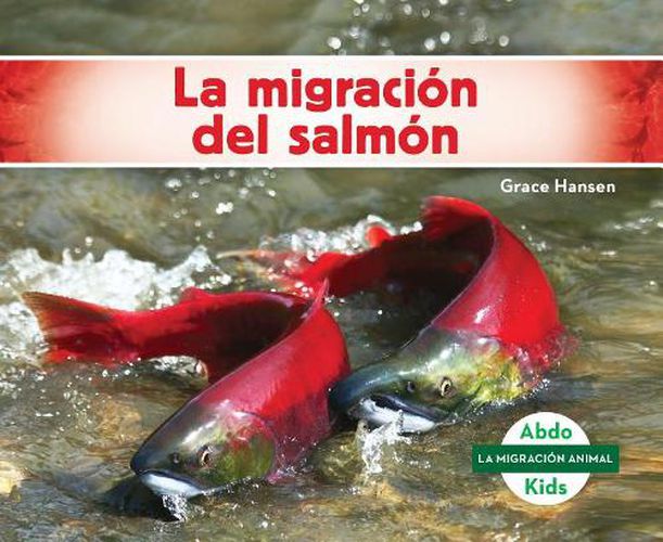 Cover image for La Migracion Del Salmon/ Salmon Migration