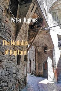 Cover image for The Modulus of Rupture