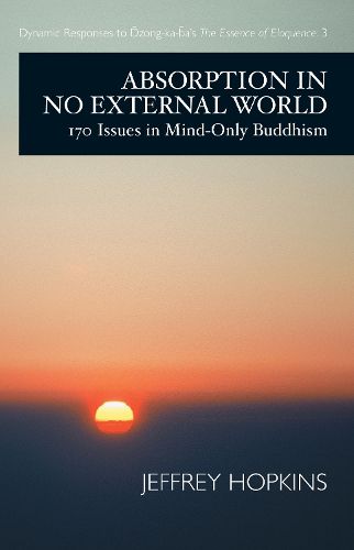 Cover image for Absorption in No External World