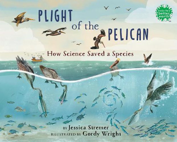 Cover image for Plight of the Pelican