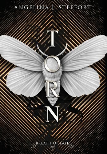 Cover image for Torn