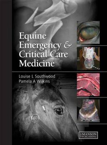 Cover image for Equine Emergency and Critical Care Medicine