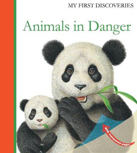 Cover image for Animals in Danger