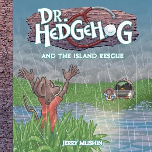 Cover image for Dr Hedgehog and the Island Rescue