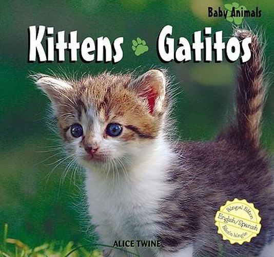 Cover image for Kittens / Gatitos