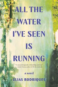 Cover image for All the Water I've Seen Is Running: A Novel