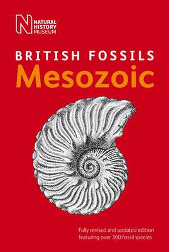 Cover image for British Mesozoic Fossils