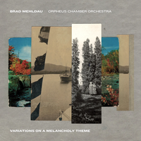Cover image for Variations on a Melancholy Theme