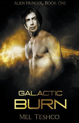 Cover image for Galactic Burn