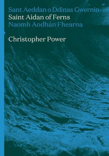 Cover image for St Aidan of Ferns