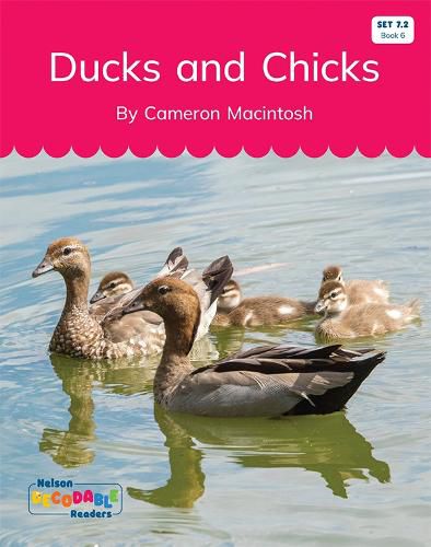 Ducks and Chicks (Set 7.2, Book 6)