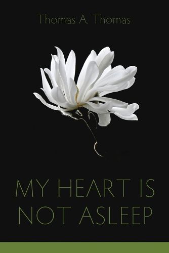 Cover image for My Heart Is Not Asleep