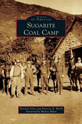 Cover image for Sugarite Coal Camp