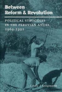 Cover image for Between Reform and Revolution: Political Struggles in the Peruvian Andes, 1969-1991