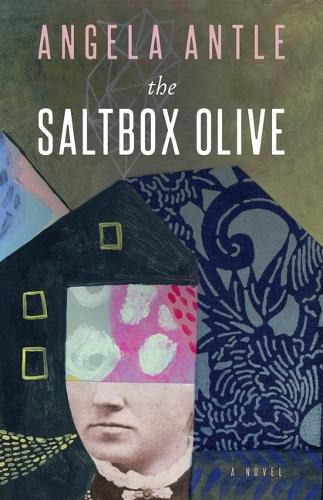 Cover image for The Saltbox Olive