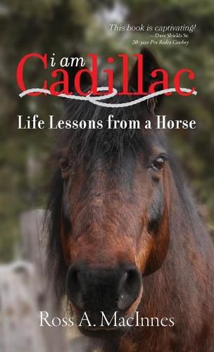 Cover image for I am Cadillac: Life Lessons from a Horse