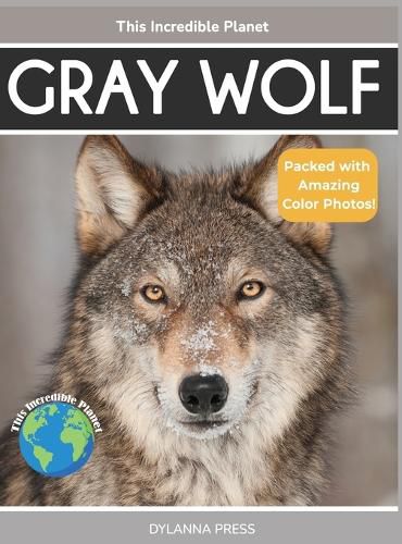 Cover image for Gray Wolf