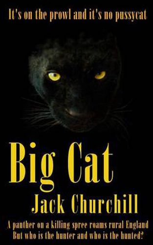 Cover image for Big Cat