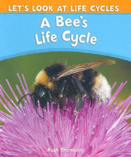 Cover image for A Bee's Life Cycle