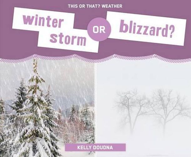 Winter Storm or Blizzard?