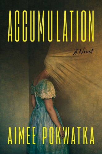 Cover image for Accumulation