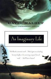 Cover image for An Imaginary Life
