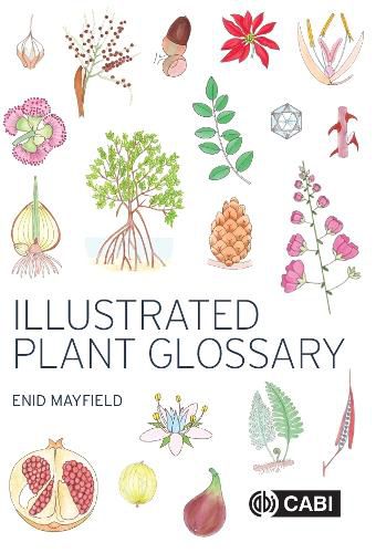 Cover image for Illustrated Plant Glossary