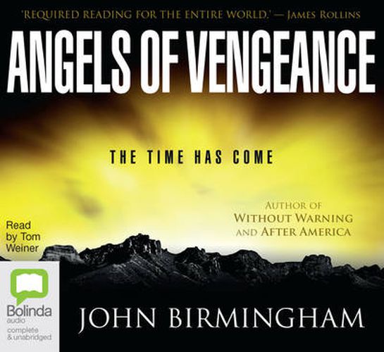 Cover image for Angels of Vengeance