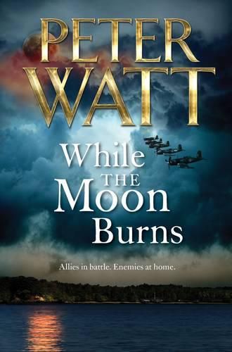 Cover image for While the Moon Burns: The Frontier Series 11