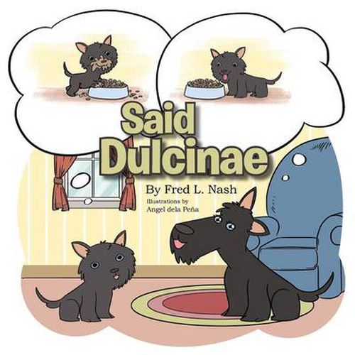 Cover image for Said Dulcinae