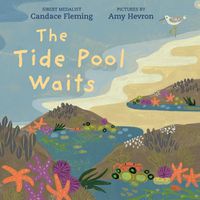 Cover image for The Tide Pool Waits