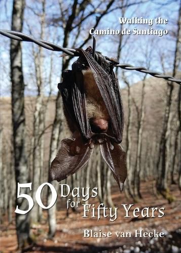 Cover image for 50 Days for Fifty Years: Walking the Camino de Santiago