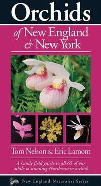 Cover image for Orchids of New England & New York