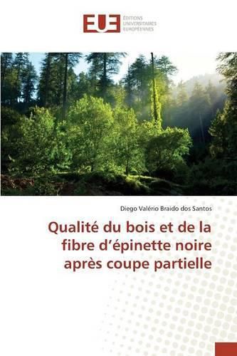 Cover image for Qualite Du Bois Et de la Fibre D Epinette Noire Apres Coupe Partielle