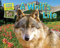 Cover image for A Wolf's Life